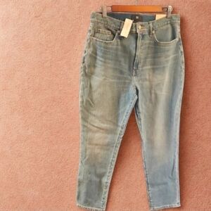 Banana Republic Classic Blue Jeans